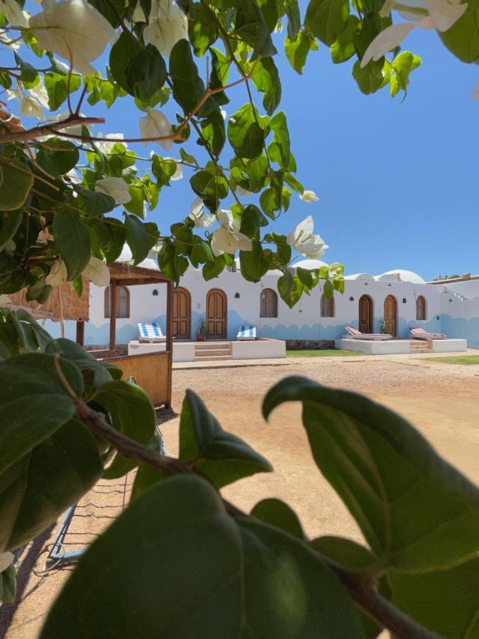 ホテル Dolphin Camp ダハブ エクステリア 写真