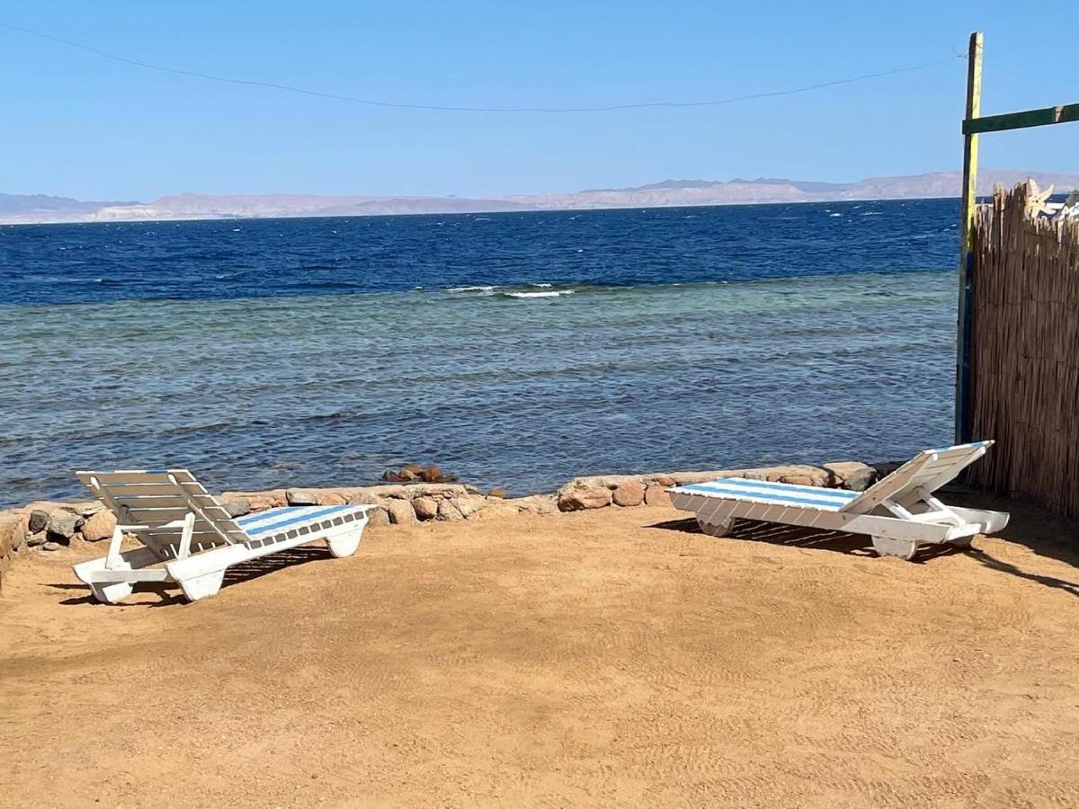 ホテル Dolphin Camp ダハブ エクステリア 写真